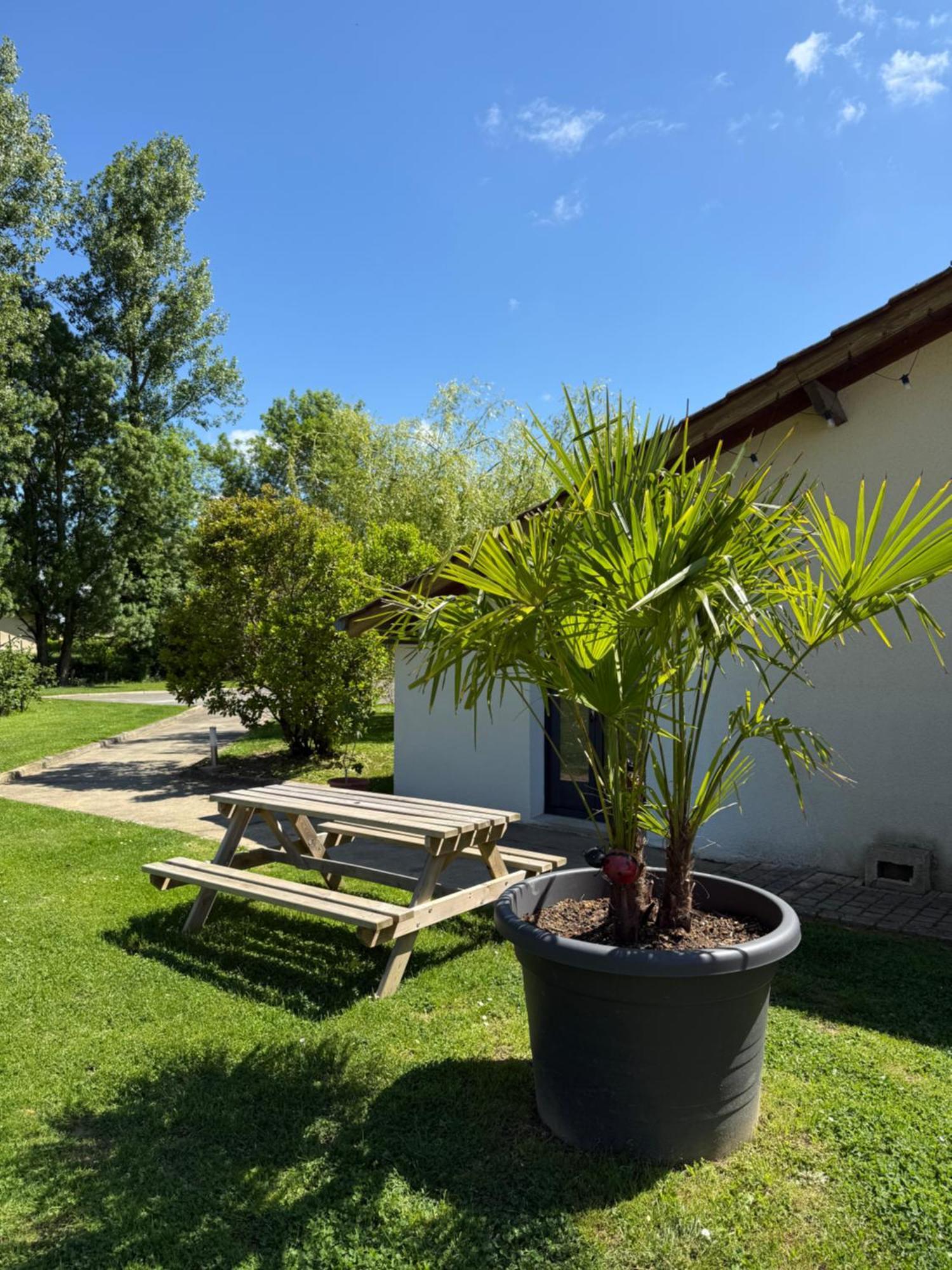 Bed and Breakfast Parc de la Charmille Saint-Étienne-sur-Reyssouze Exterior foto